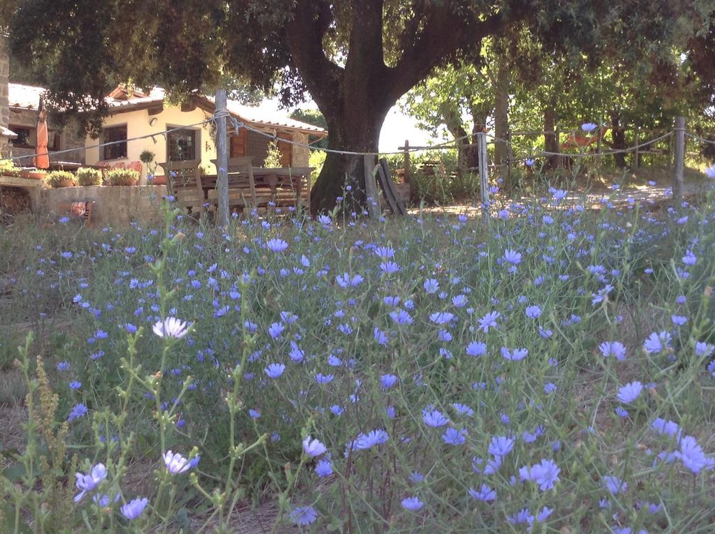 Il Soffio Di Eolo Bed & Breakfast Bagnoregio Luaran gambar